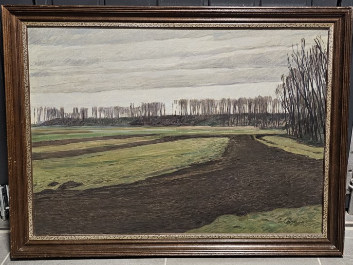 Werner Brand - Auenlandschaft