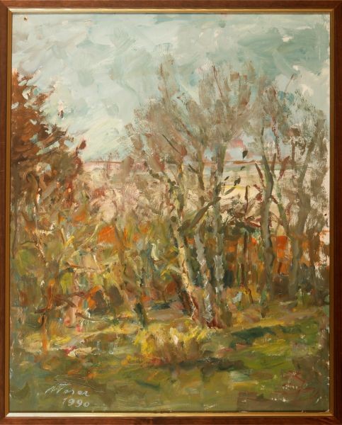 Albert Feser<br>Blick auf den Hintergarten